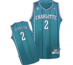 Charlotte Hornets Larry Johnson #2 Throwback Swingman Maillot d'équipe de NBA - Bleu clair pour Homme